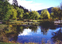 well stocked trout ponds